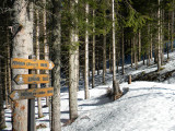 Balisage