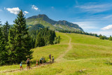 Colombier