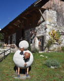 photo-prestataire