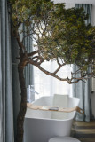 Suite Exécutive avec Balcon (salle de bains)