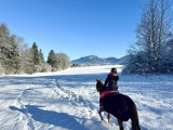 Balade cheval neige