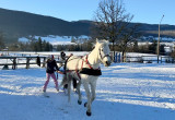 Ski-joering