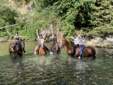 Stages chevaux -poneys