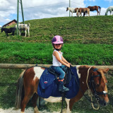 Balade poneys 3-5 ans