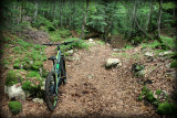Piste VTT FFC noire 11 - La Féclaz