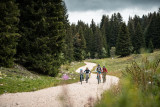 Pistes VTT/VTC - Circuits roulants