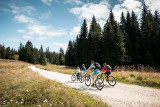 Pistes VTT/VTC - Circuits roulants