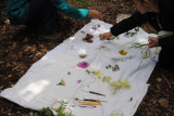 Animation Land Art