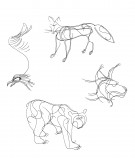 Ronde des animaux