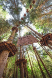 Tree climbing et zip lines of Giants_Aillon-le-Jeune