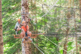 Tree climbing et zip lines of Giants_Aillon-le-Jeune