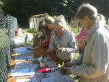 Atelier plantes