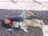 chien-redim4-171-253