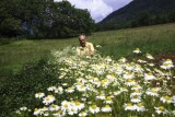 jardin herbier de la clappe