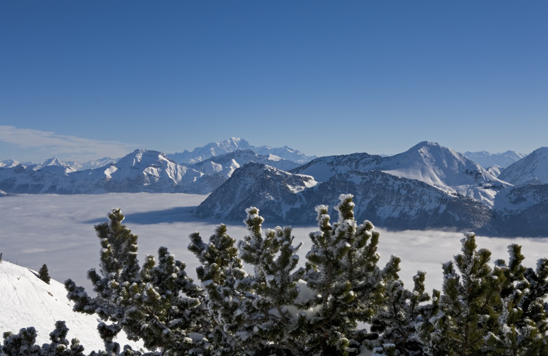 Vue sur les Bauges et le Mont Blanc