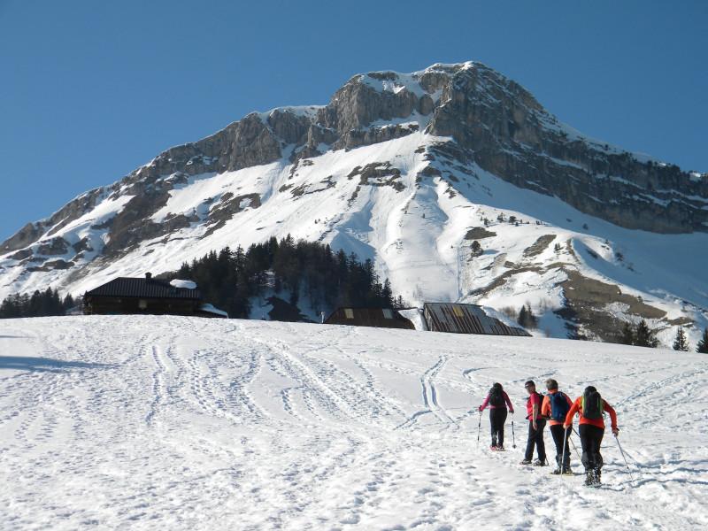 Chalets de la Fullie