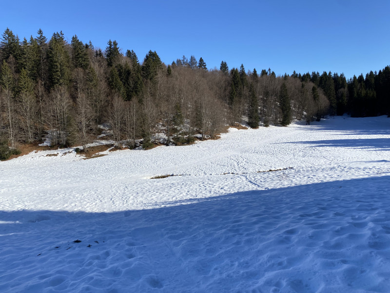 Itinéraire raquettes à neige : la petite traversée_Le Revard