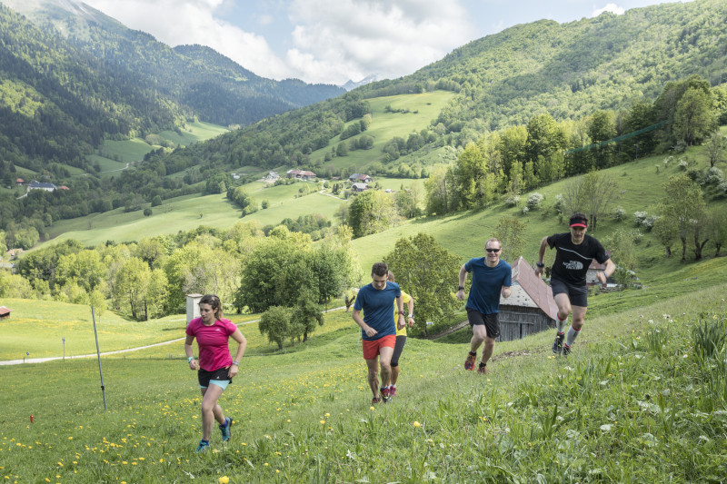Expériences Trail