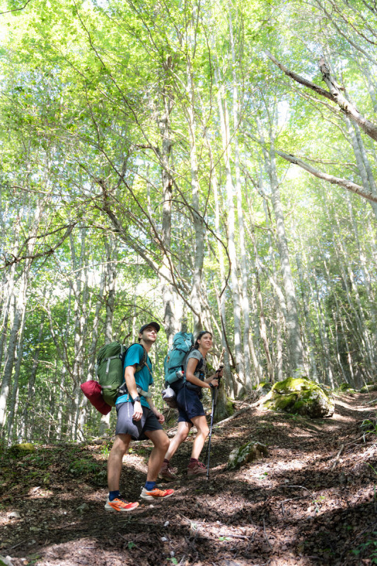Bois des Feuillères
