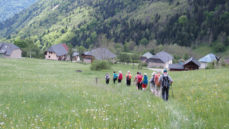 chemin faisant