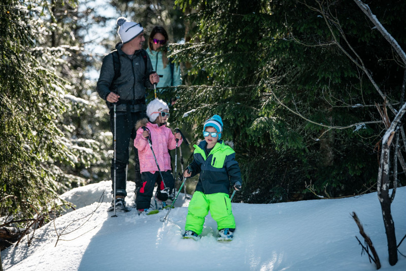 Snowshoeing treks 'Le Cernay'_Aillon-le-Jeune