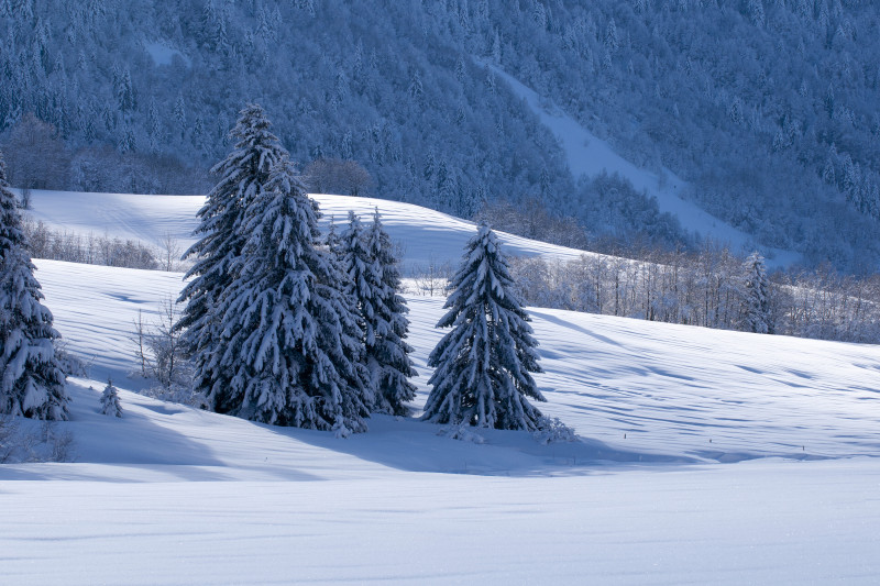 Arrivée au Cernay