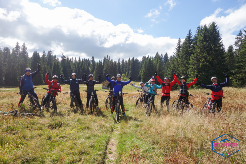 VTT AE