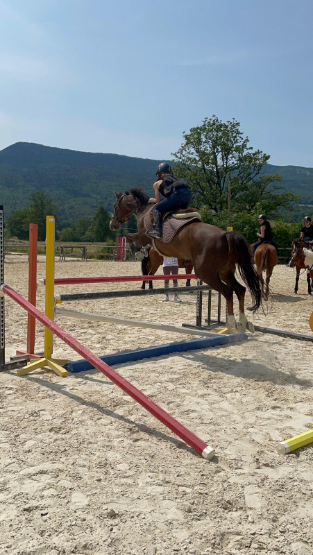 Stage chevaux - poneys