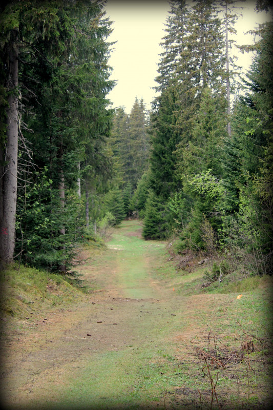 Piste VTT FFC verte - La Féclaz
