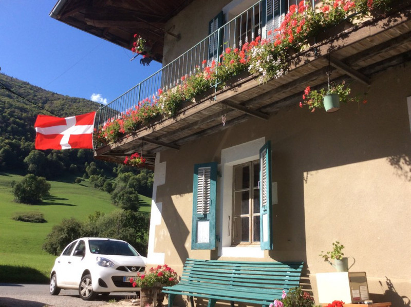 L'Aster de Savoie