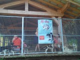 images_sandra_1456.jpg