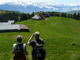 Tour des Bauges en liberté avec Terres d'altitude