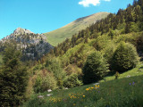 Tour des Bauges en liberté avec Terres d'altitude