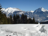 Tour des Bauges en raquettes avec Terres d'altitude