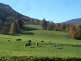 Prés devant le gîte