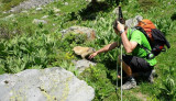 balade marmottes