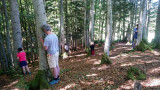 Bain de forêt