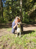 Dans les yeux du Husky