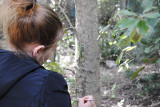 Sortie nature avec Muriel Lallée