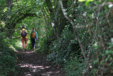Bain de forêt