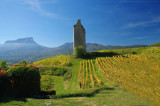 Vignes du Coeur de Savoie
