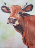 Peinture - Martine Sainte Mareville