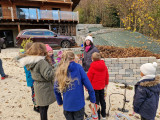 img_20240326_wa0009.jpg
