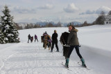 Ski joëring