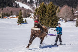 Ski-joëring