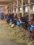 Visite de la ferme