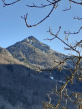 Mésanges