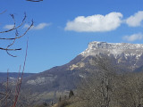 Mésanges