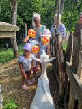 Visite chèvrerie