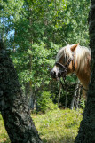 dscf5844.jpg